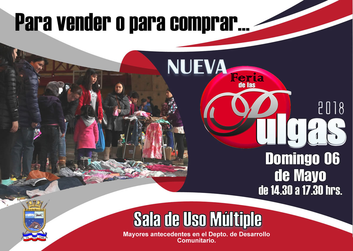 DOMINGO DE FERIA DE LAS PULGAS